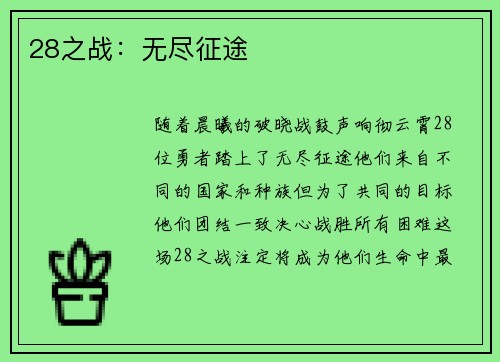 28之战：无尽征途